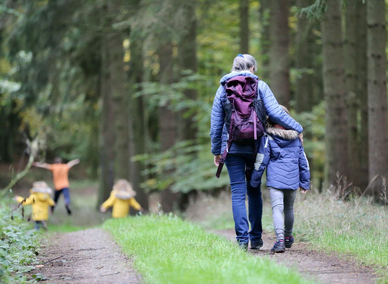 A family walking together on a forest path